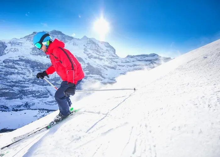 Appartement Allod Park Haus B 403 By Interhome Davos